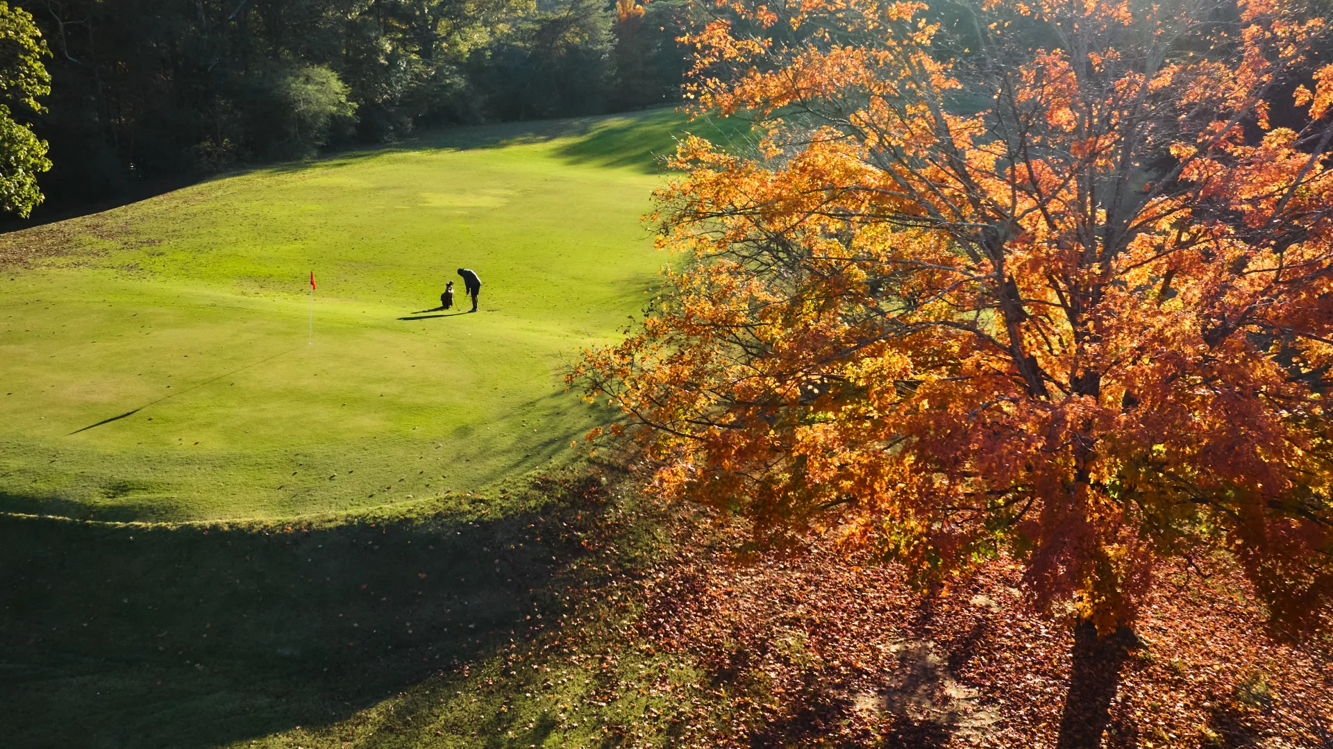 Golfer under autumn tree